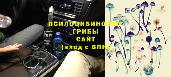эйфоретик Балахна