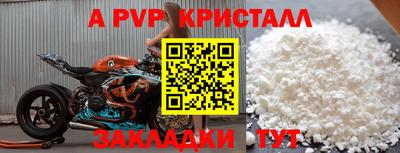 ECSTASY Аргун