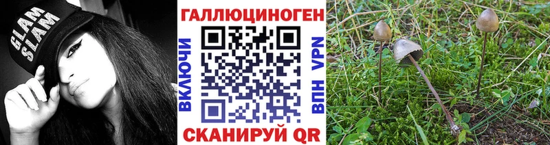 Псилоцибиновые грибы мицелий  Белая Калитва 