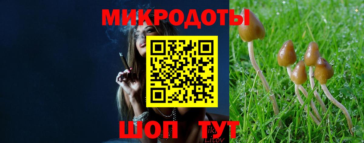 Галлюциногенные грибы прущие грибы  Вход с VPN  Белая Калитва 